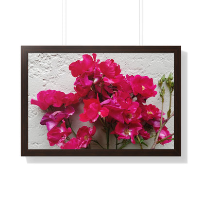 Bougainvillea Against White Stucco Wall Framed Print – Mediterranean Floral Wall Art, Summer Bloom Botanical Decor