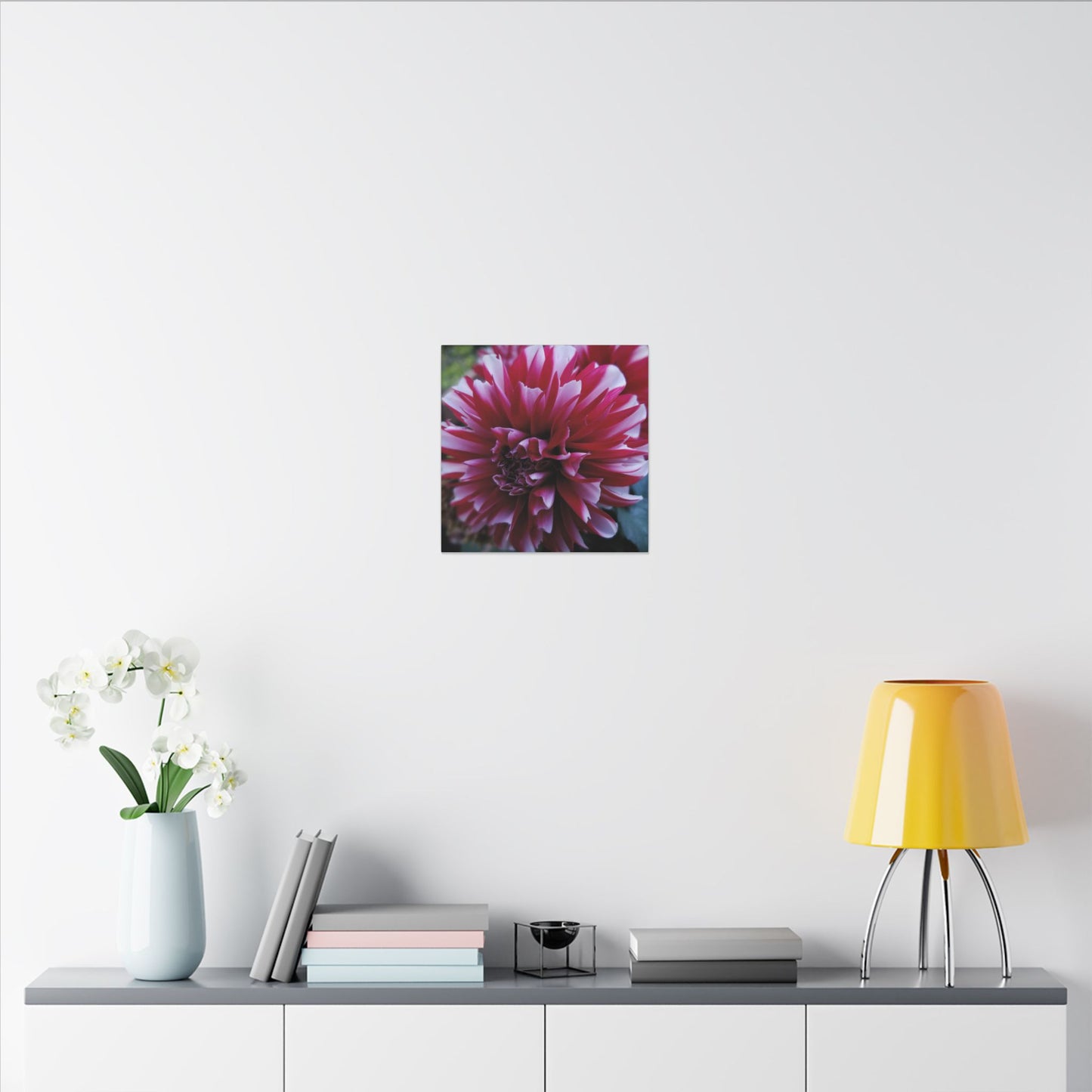 Red and White Dahlia Canvas Print – Bright Floral Nature Photography Wall Art