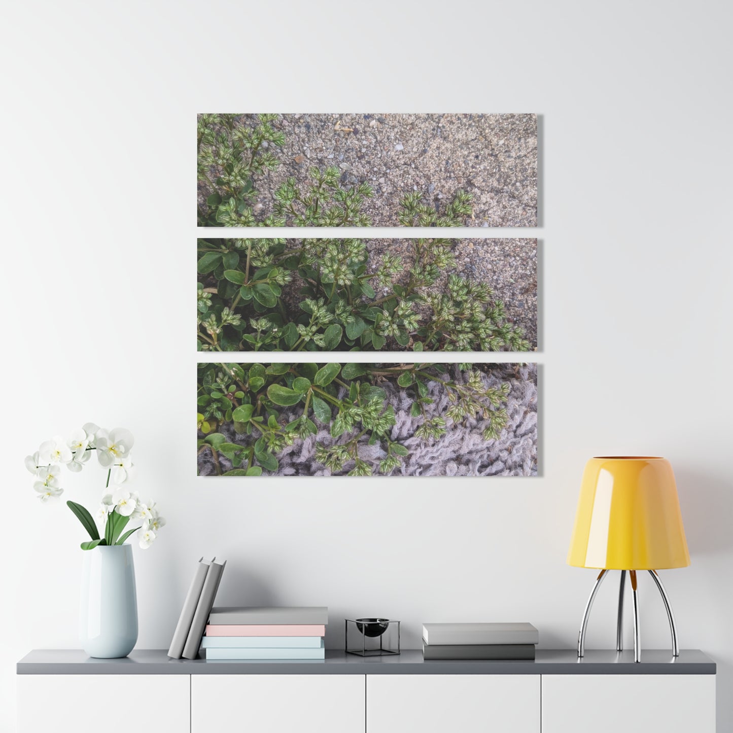 Where the Allseed Grows Acrylic Triptych – Urban Nature Minimalist Wall Art with Botanical Concrete Texture