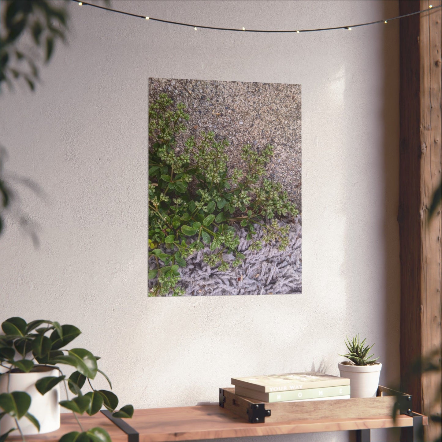 Where the Allseed Grows Poster – Urban Nature Minimalist Wall Art with Concrete Texture and Botanical Contrast