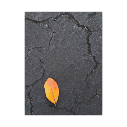 Orange Leaf Against Black Concrete Minimalistic Canvas Print – Contemporary Nature Photography Wall Art