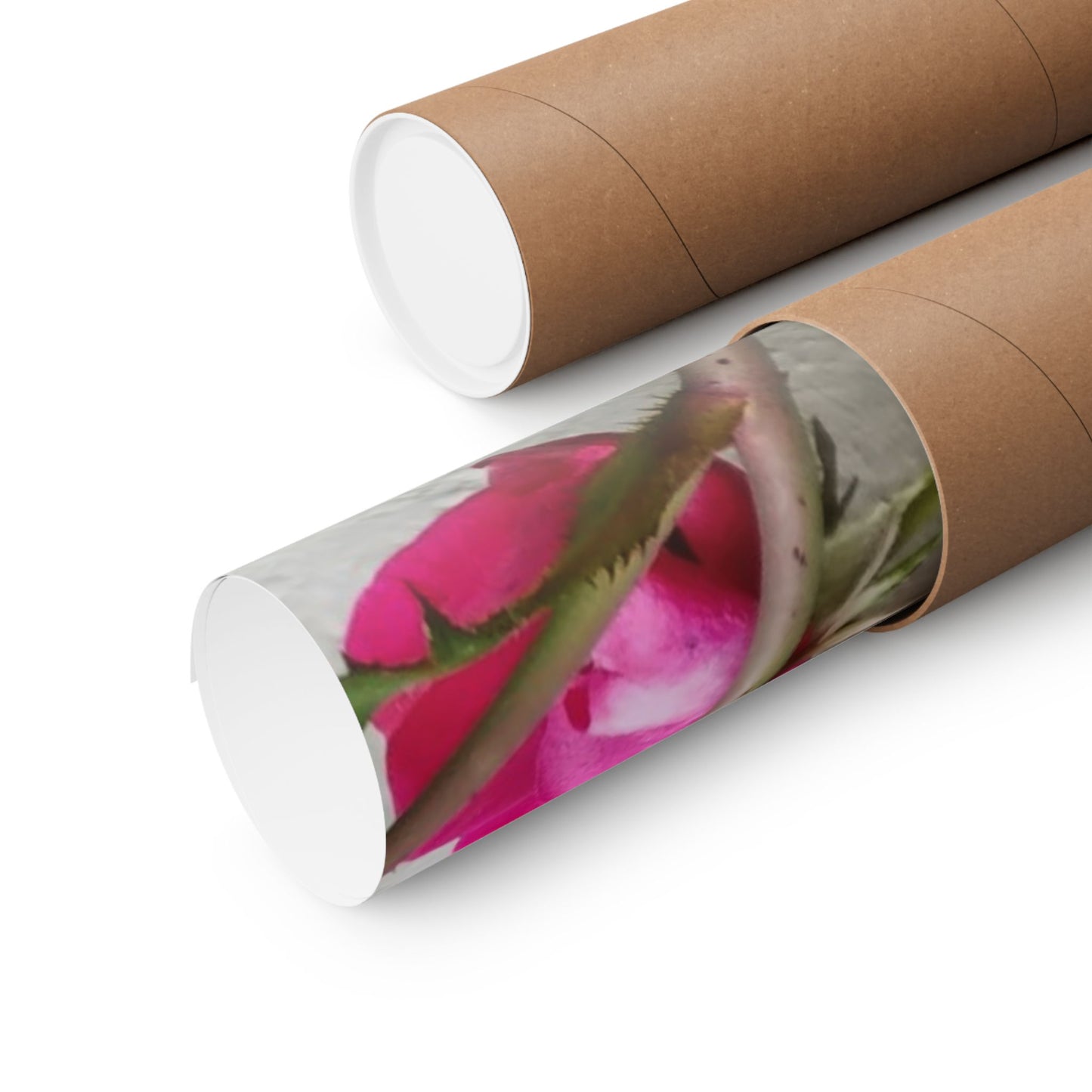 Bougainvillea Against White Stucco Wall Poster – Vibrant Floral Photography Wall Art